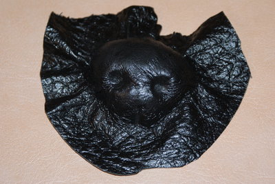DSC05166.JPG