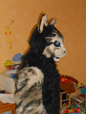 half profil.jpg