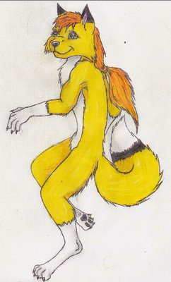 dessin yellone.jpg