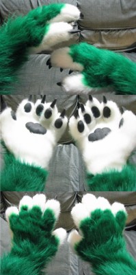 Paws01.jpg