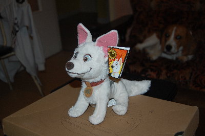 DSC_0002.JPG