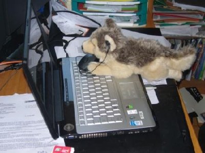 loupy+pc.JPG