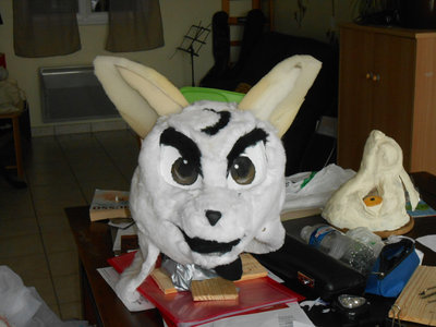 DSCN0536.JPG