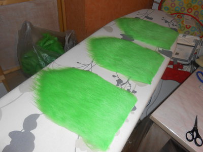 DSCN2339.JPG
