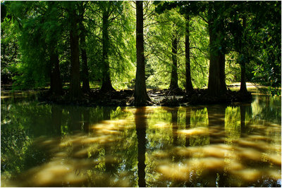clair-obscur-ded506f1-00e9-467d-8f4c-e0b82bd79c74.jpg