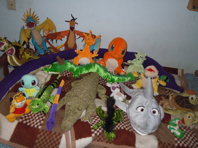 DSCN1634.JPG