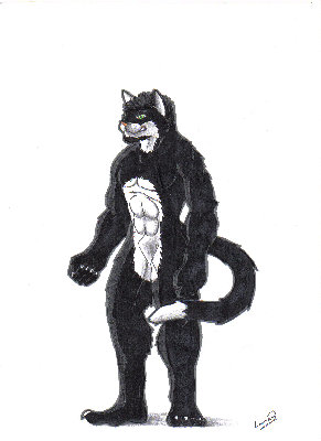 nohaj.jpg (238.04 KIB) Vu 3351 fois nohaj.jpg