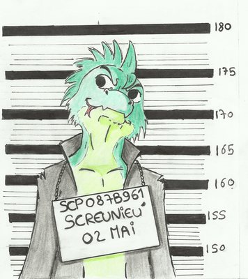 Screu.jpg