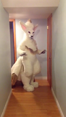 vlcsnap-2014-01-31-16h55m17s186.png