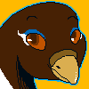 anim---kachi.gif