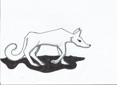 loup.jpg