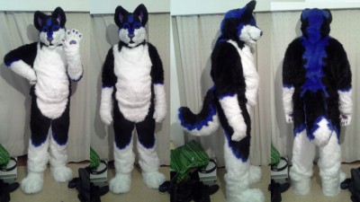 1411828275.ryukan_fursuit_full.jpg
