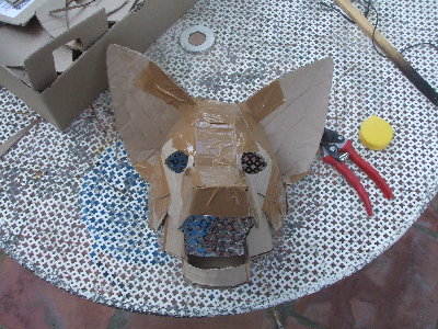 DSCF0850.JPG
