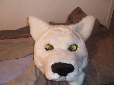 DSCF0859.JPG