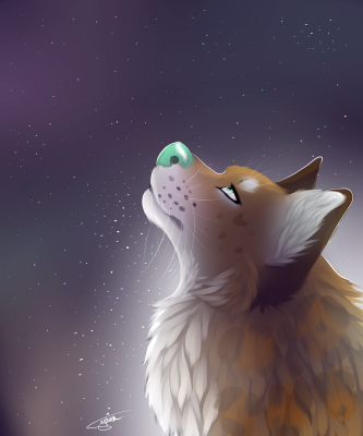 galaxykalis.png