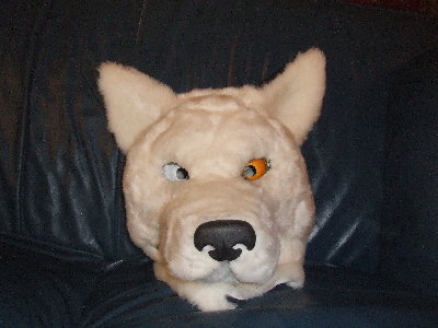 DSCF0859.JPG