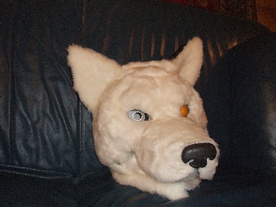 DSCF0860.JPG
