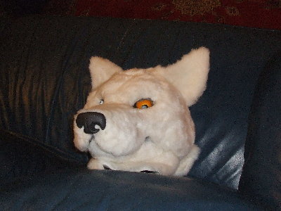 DSCF0861.JPG