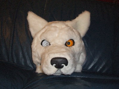 DSCF0863.JPG