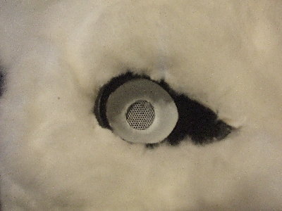 DSCF0865.JPG