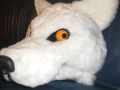DSCF0866.JPG