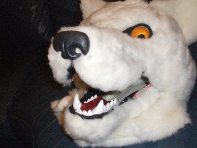 DSCF0867.JPG