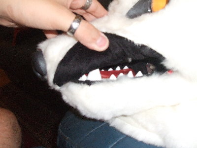 DSCF0869.JPG