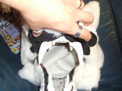DSCF0874.JPG