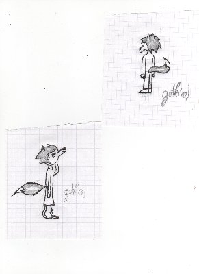 image-8.jpg