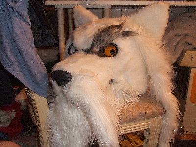 DSCF0882.JPG