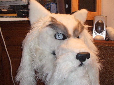 DSCF0887.JPG