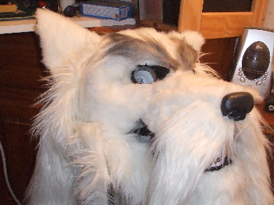 DSCF0889.JPG
