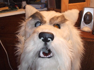 DSCF0892.JPG