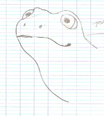 Grenouille.jpg