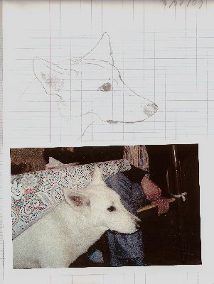 Chien.jpg