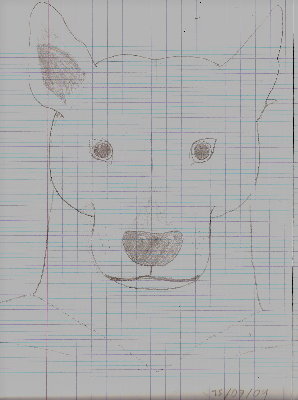 Chien2.jpg