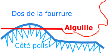 couture_dos.png
