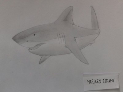 20180227_174514-1.jpg (444.99 KIB) Vu 9591 fois 20180227_174514-1.jpg