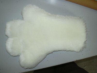 DSCN0230.jpg
