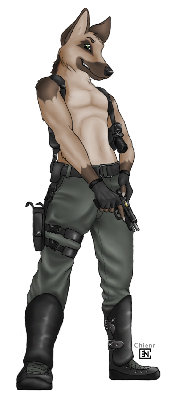 gun.jpg