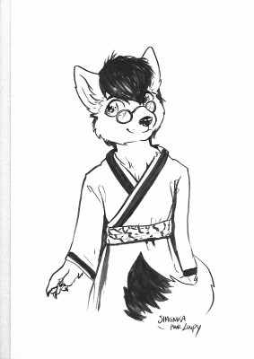 Loupy kimono.jpg (238.32 KIB) Vu 28362 fois Loupy kimono.jpg