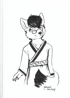 Loupy kimono.jpg