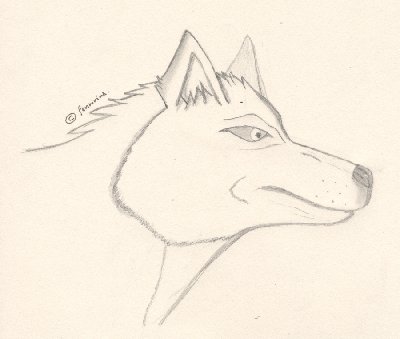 Portrait husky resized.jpeg