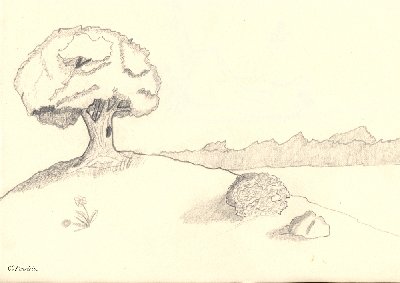 essai paysage G.jpg