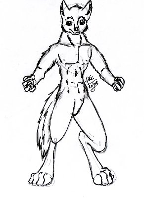 loup2.jpg