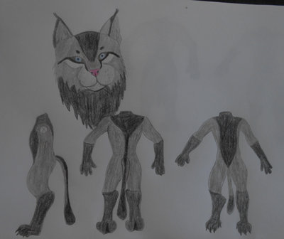 concept_shandar .jpg