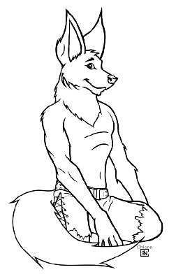 genou liner copie.jpg