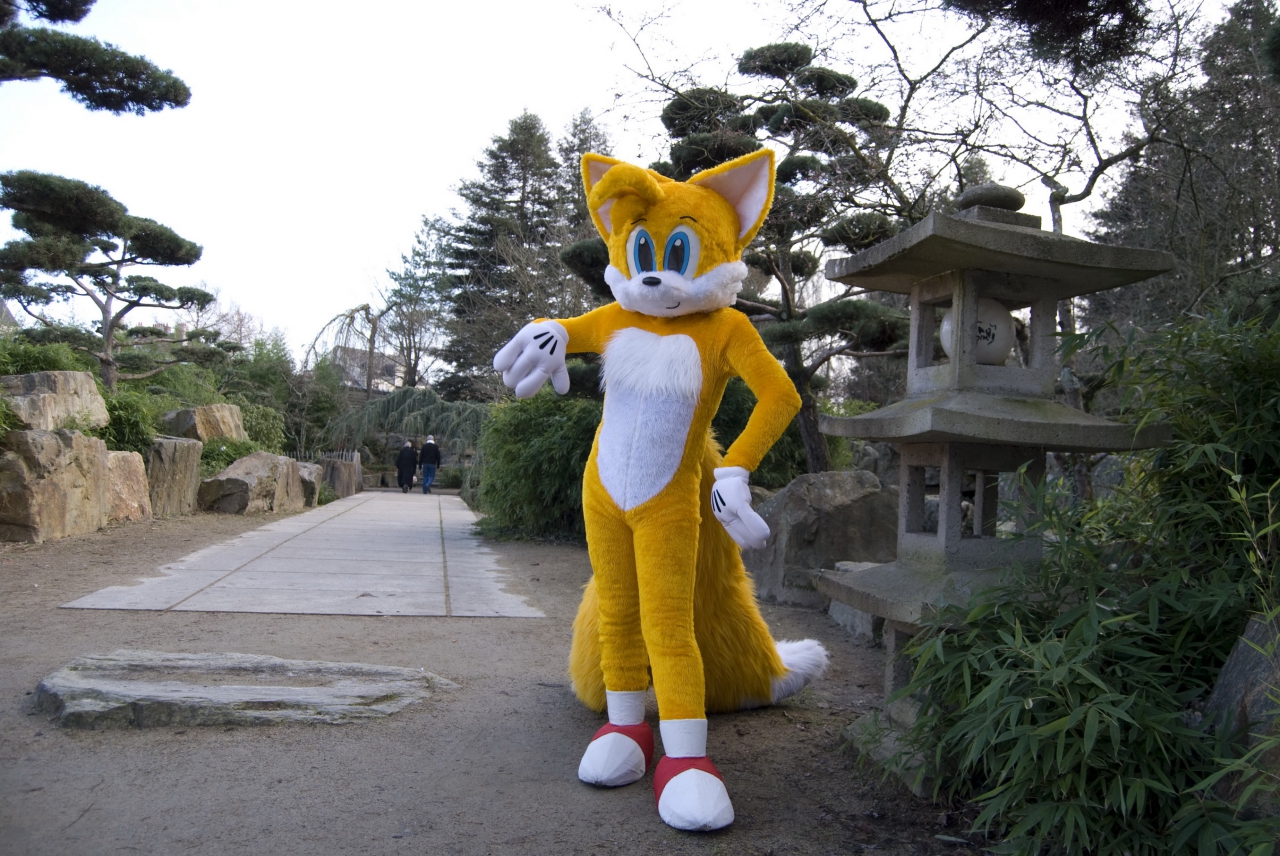 2004 Tails