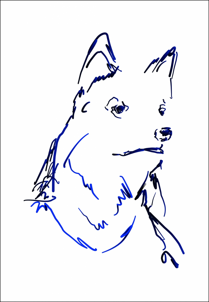 tete de loup