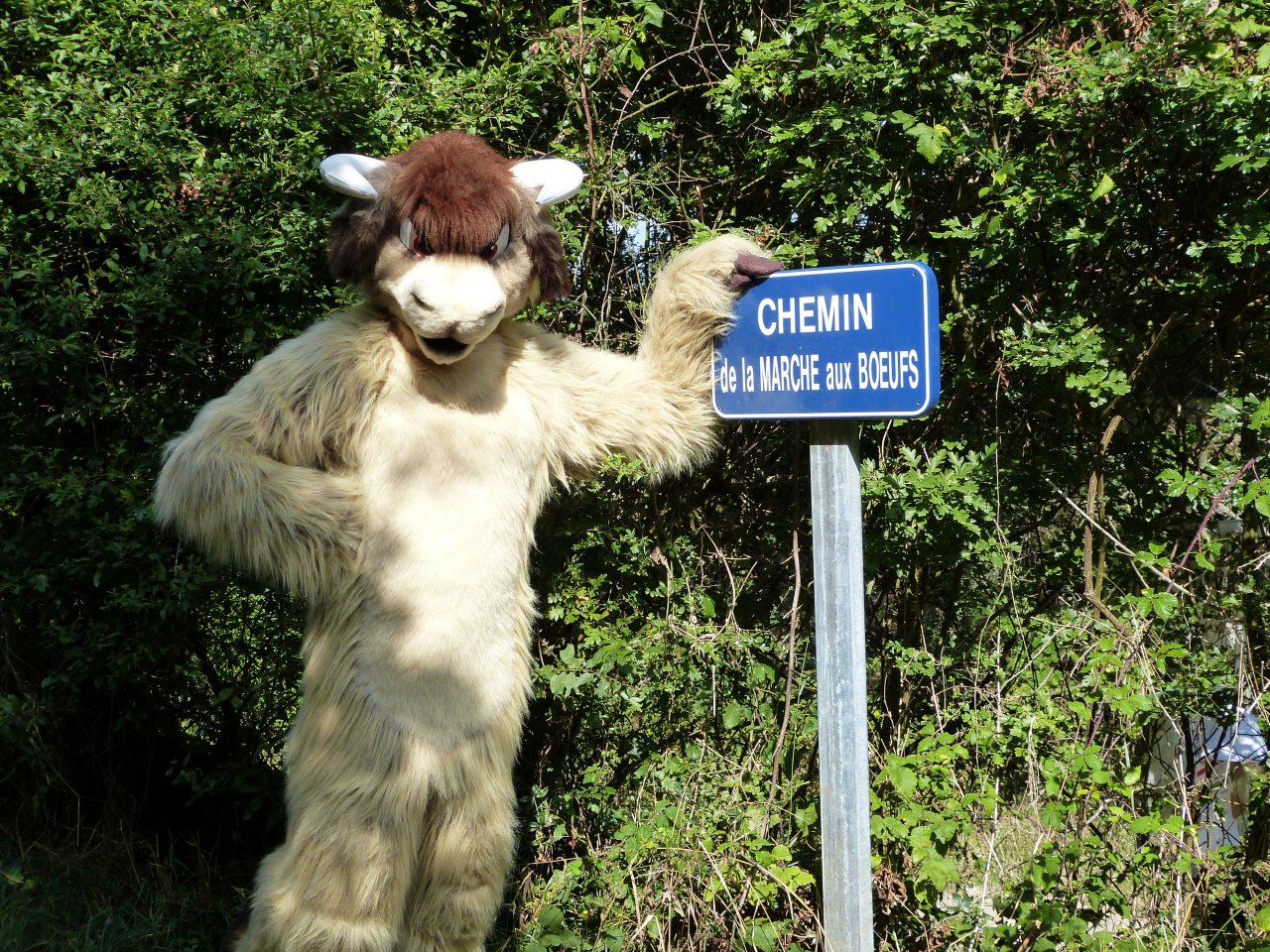 Chemin de la marche aux boeufs